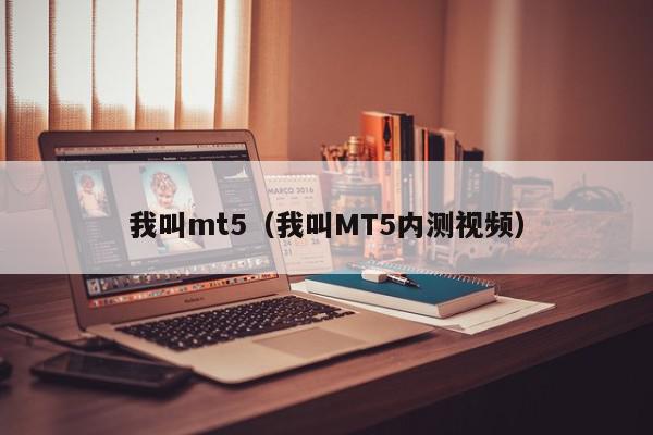 我叫mt5（我叫MT5内测视频）